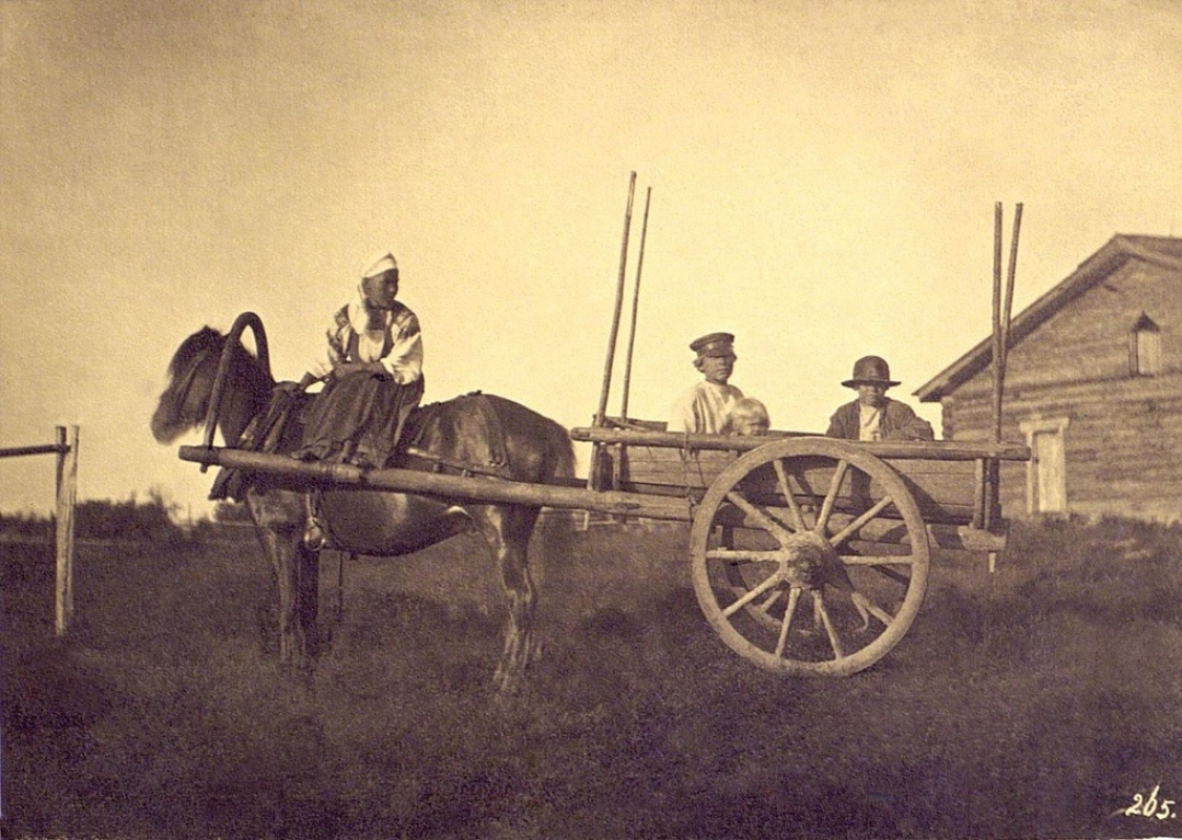 Неизвестный автор. Крестьяне в двуколке. Дата съемки: 1860-е