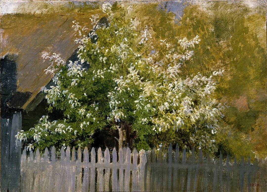 И. И. Левитан. Черемуха. Начало. 1880. Государственный Русский музей.