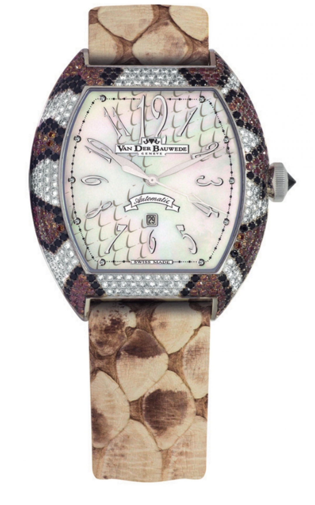 Snake Colors, Van Der Bauwede