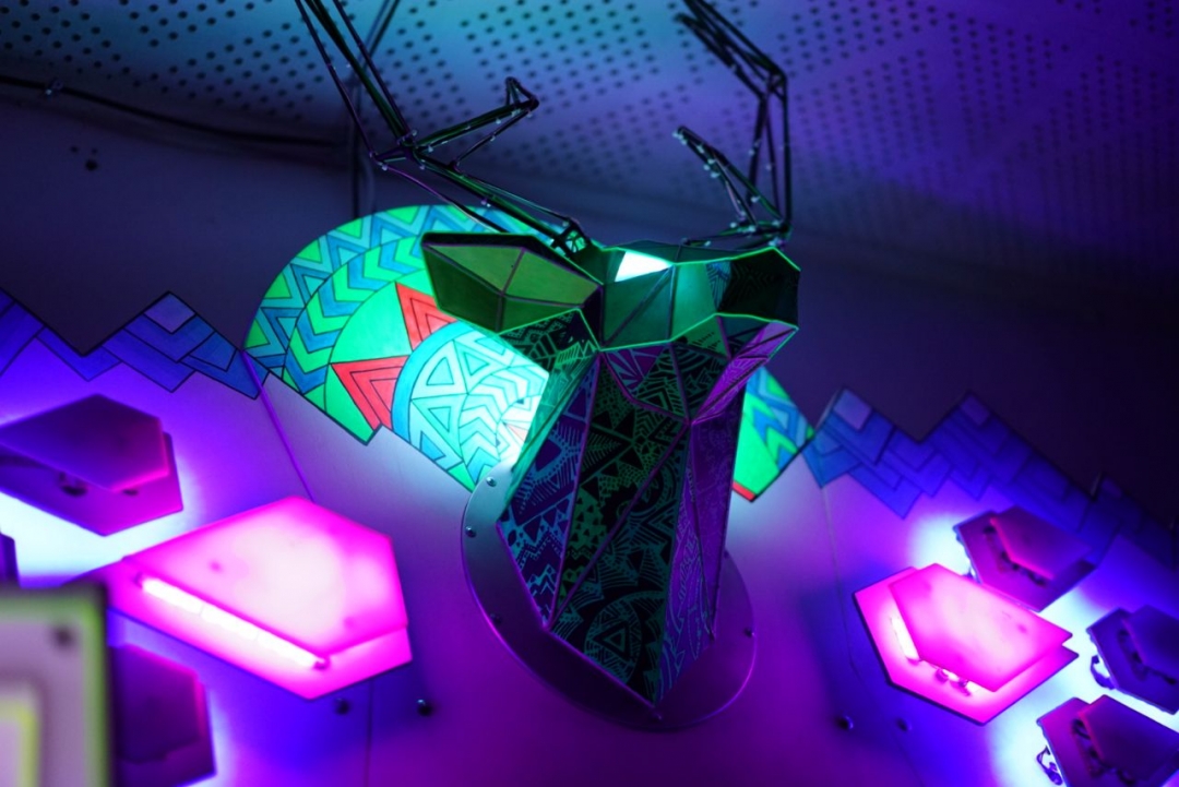 Фото: Wonderland