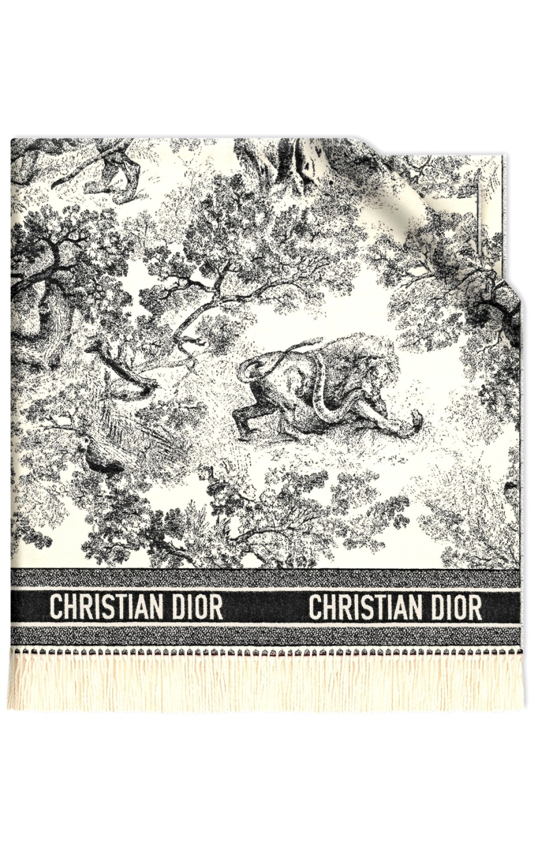 Кашемировая накидка-плед Dior, 120 000 рублей (Dior)