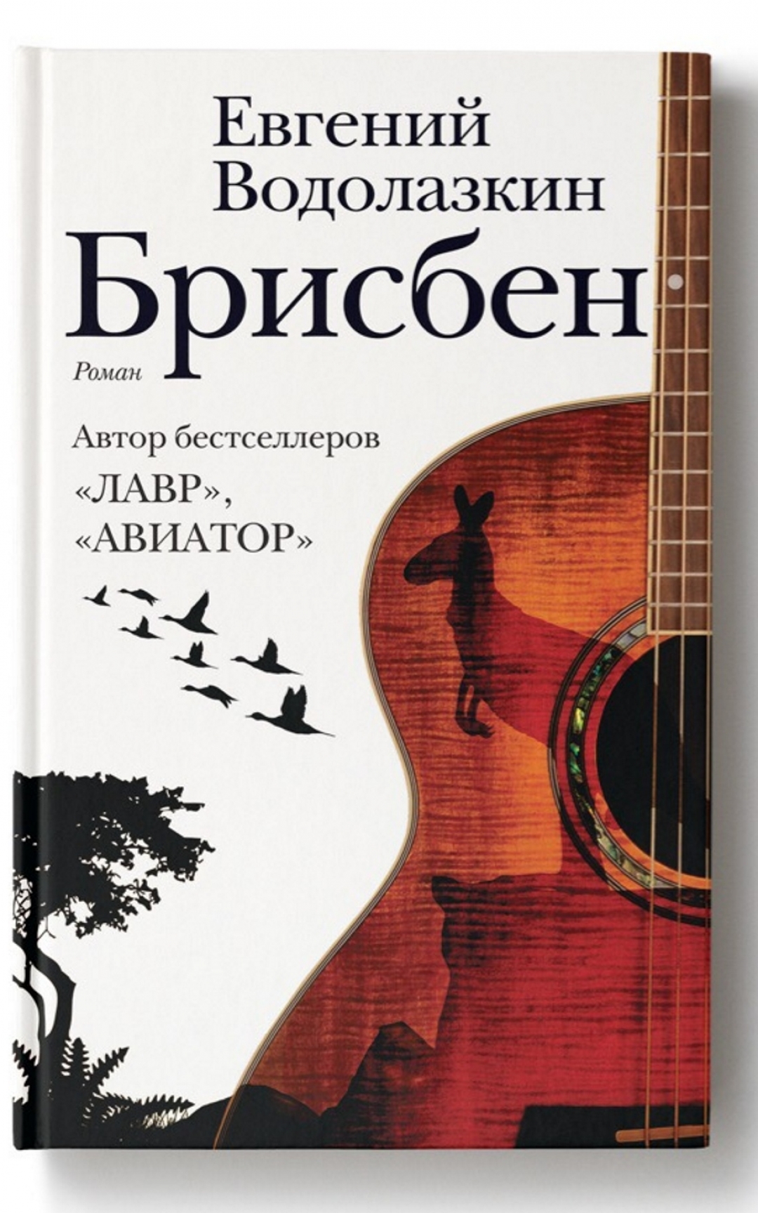 Книга Евгения Водолазкина «Брисбен»