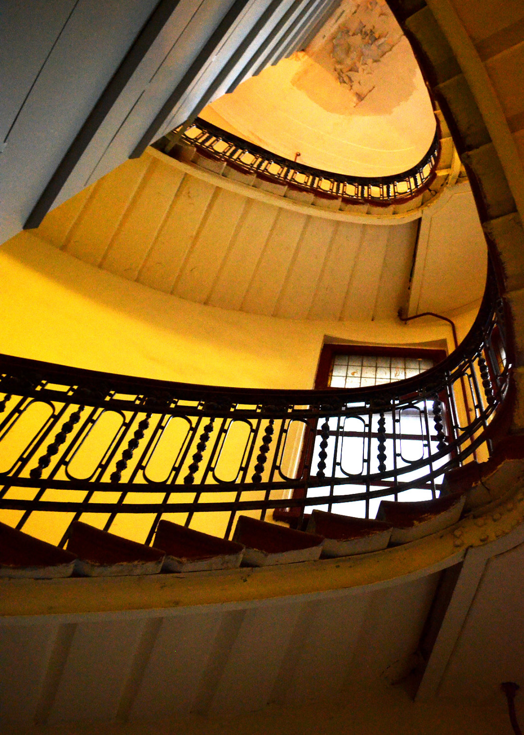 Парадная ромашка санкт петербург Парадная ромашка санкт петербург