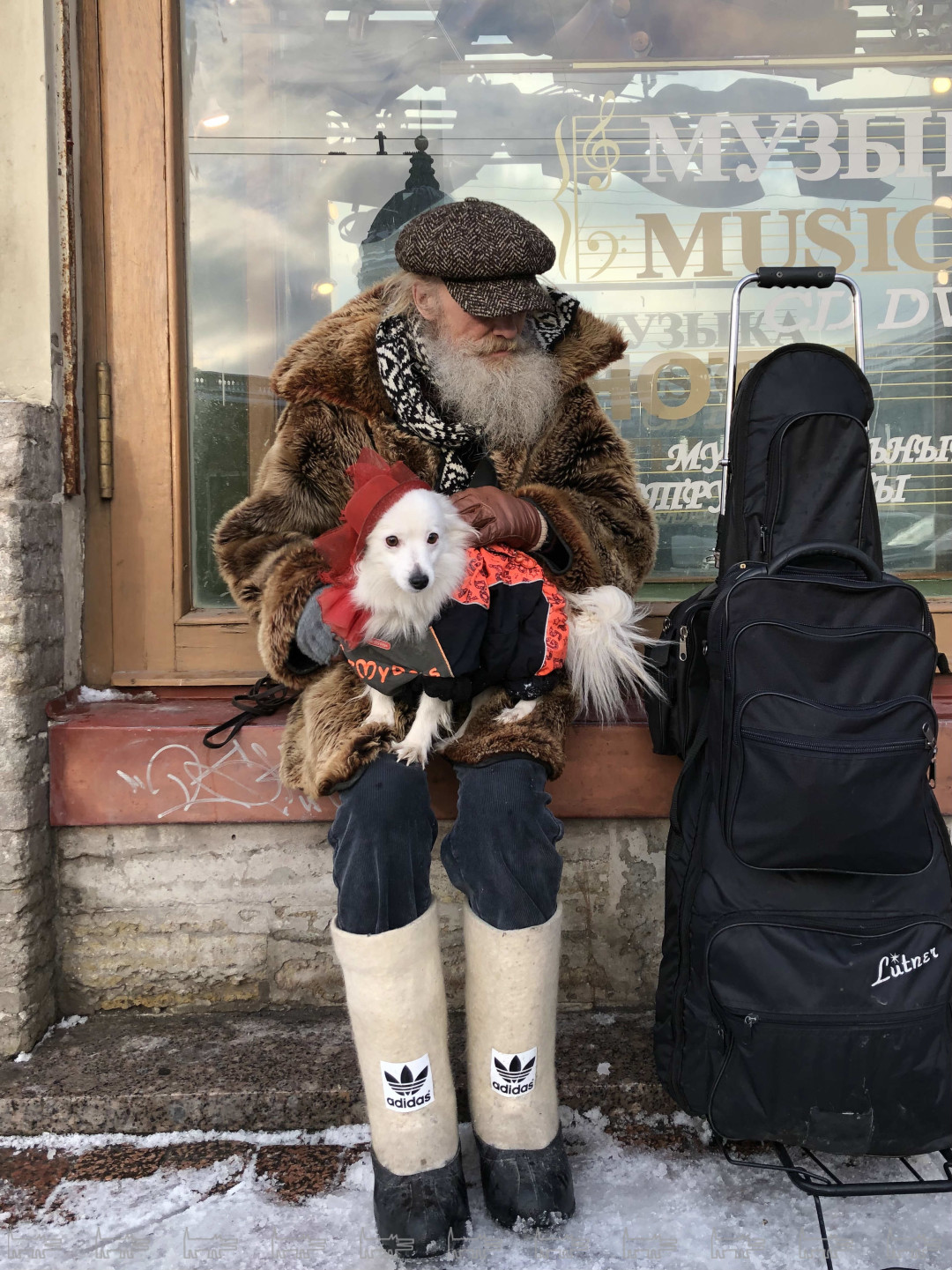 Фото дня: дедушка-хайпбист и собака в шляпке у Дома Зингера на Невском  проспекте | Sobaka.ru