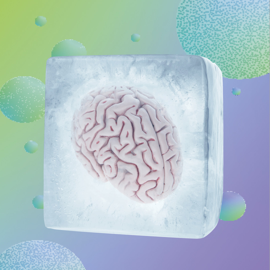 Заморозка мозгов