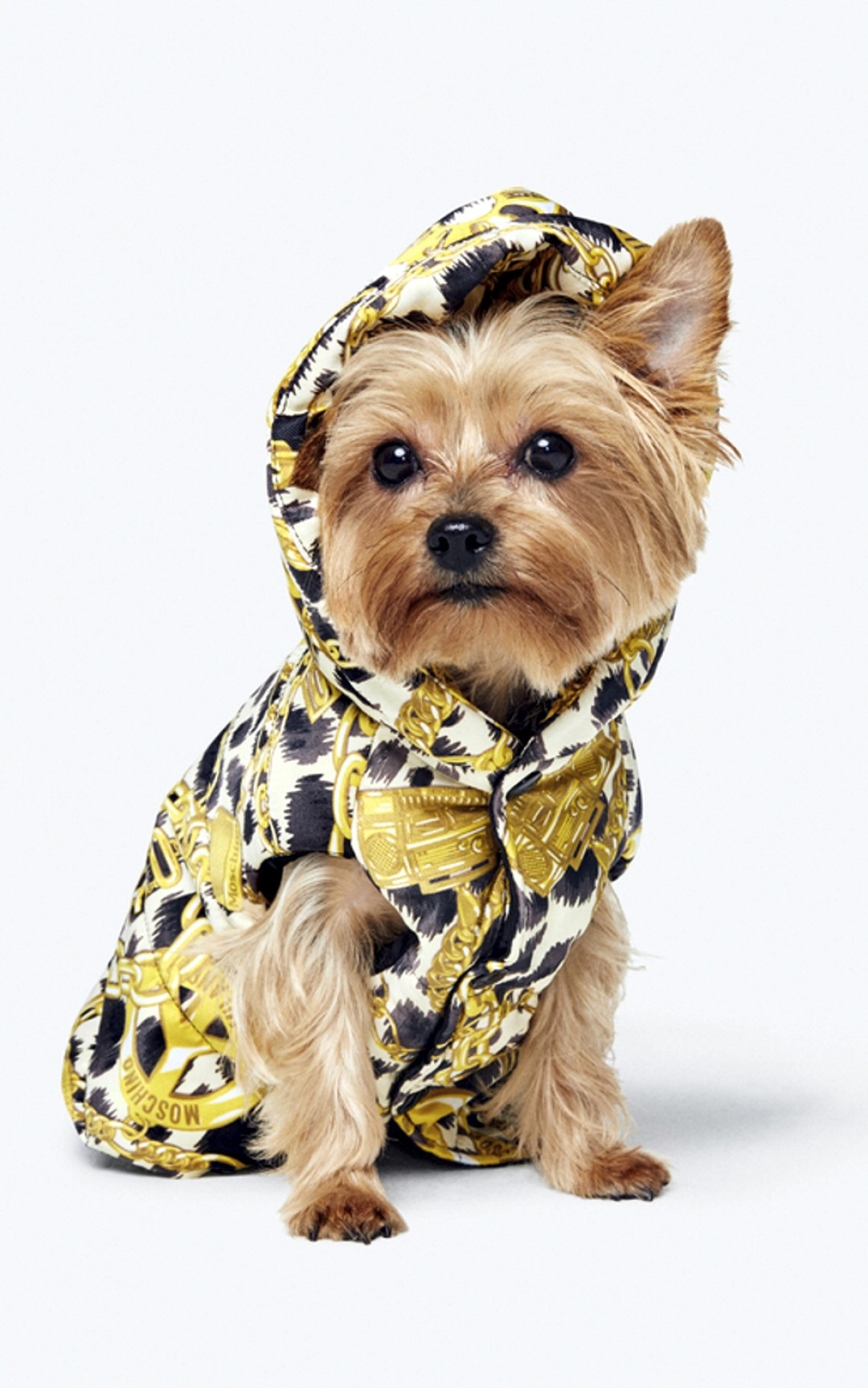 Коллаборация Moschino x H&M