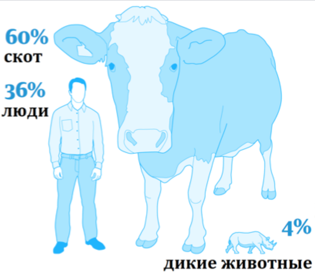 Почему потребление мяса – одна из главных причин глобального потепления?  Объясняет координатор «Гринпис» | Sobaka.ru