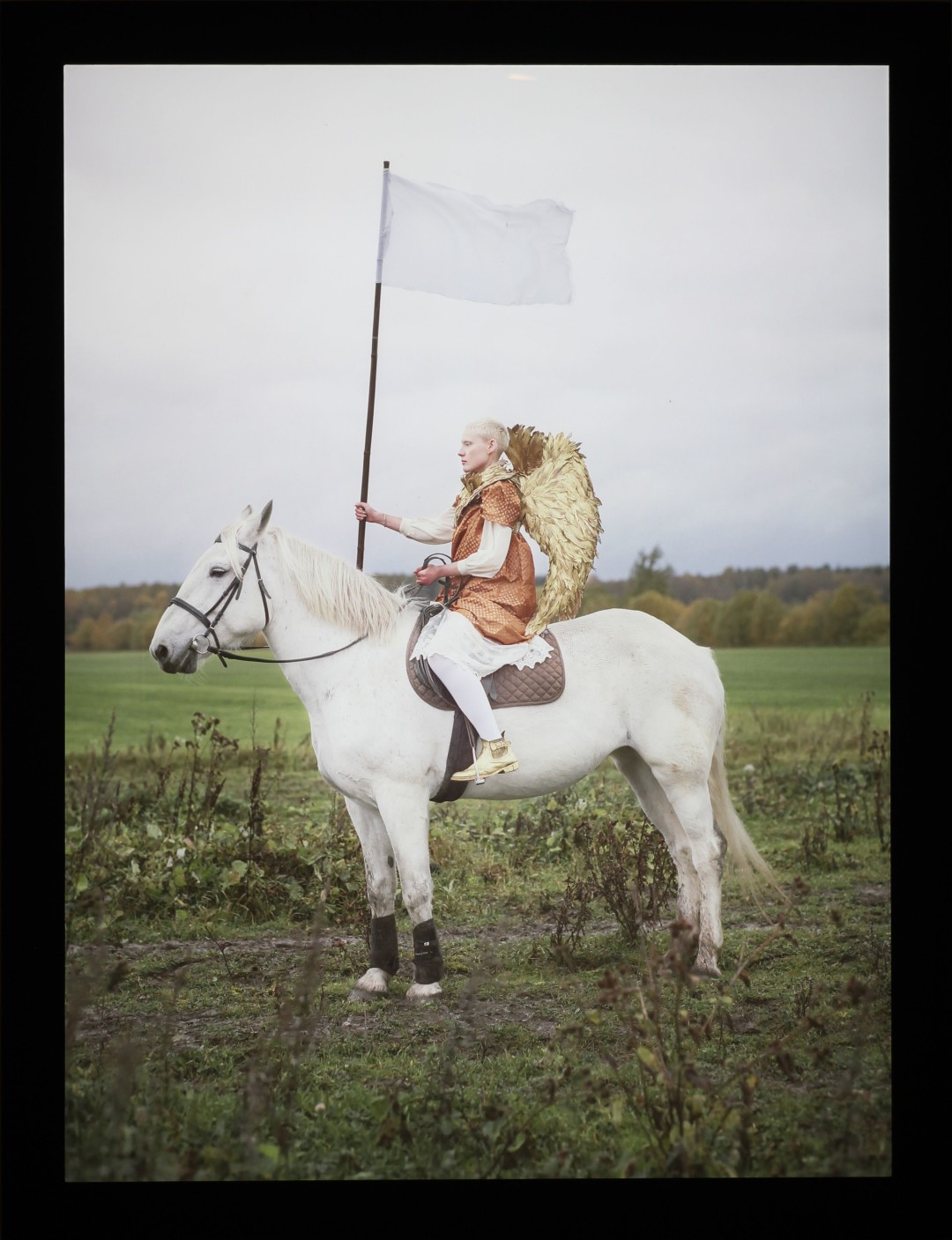 Юлдус Бахтиозина. Работы из серии «Цирк 17». Галерея Anna Nova