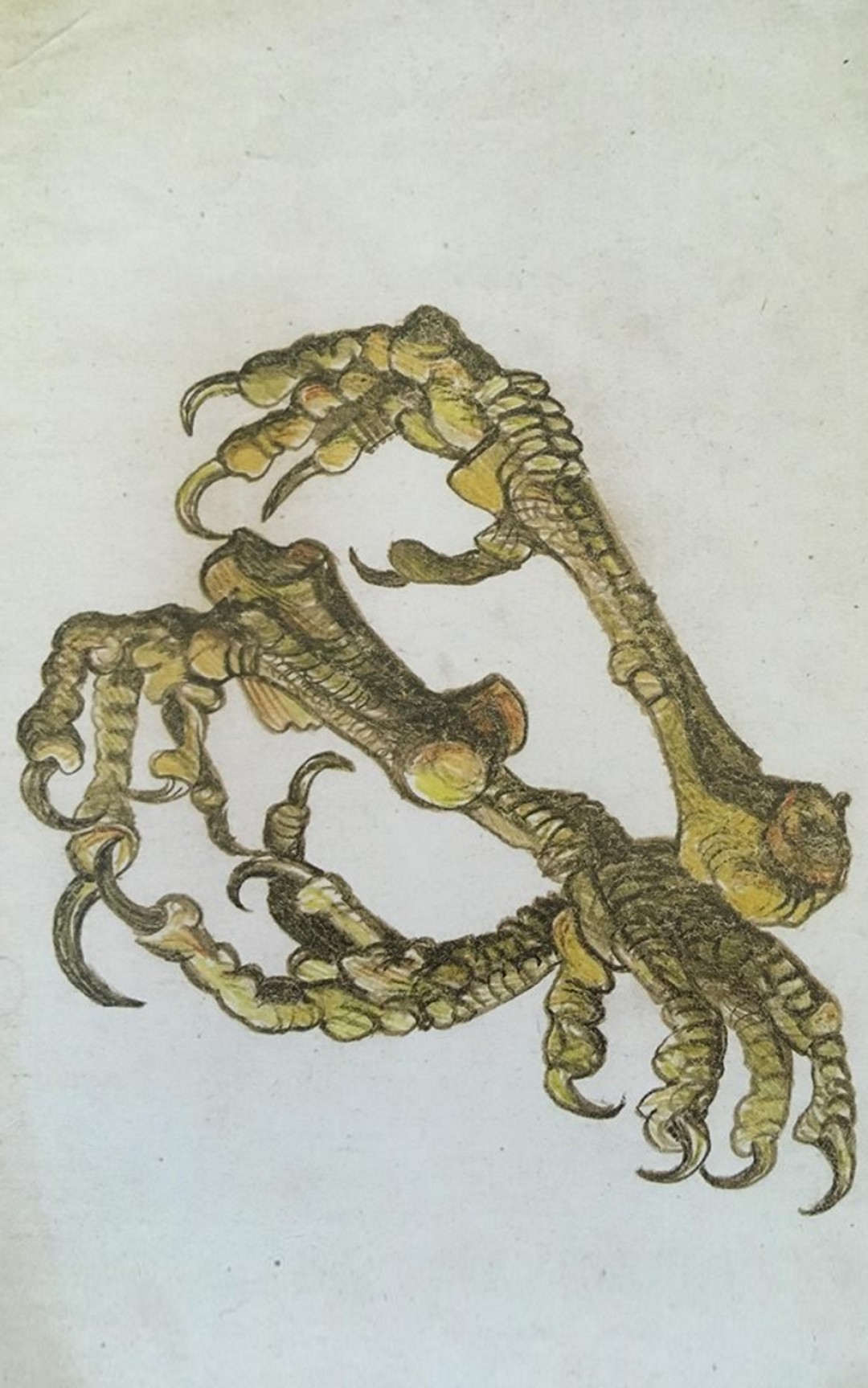 Ощипанные курицы. Бумага, тушь, кисть.1978