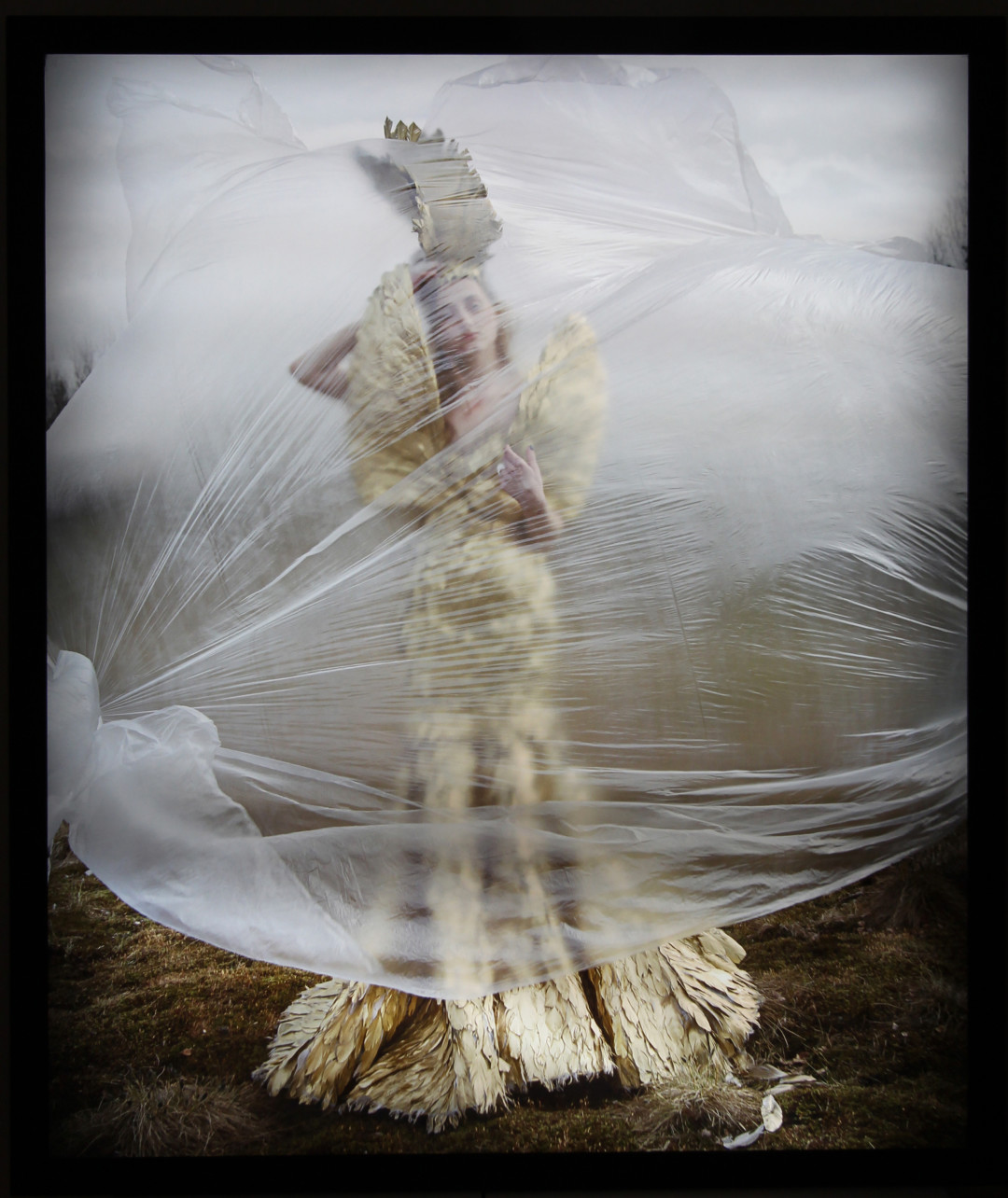 Юлдус Бахтиозина. Работы из серии «Цирк 17». Галерея Anna Nova