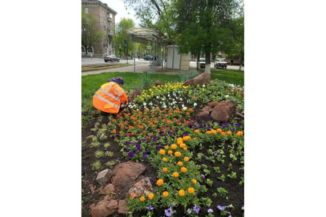 Помимо зеленых насаждений, считают урбанисты, городу нужны полноценные прогулочные зоны