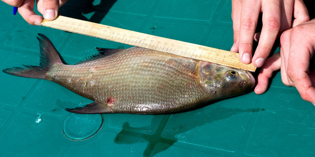 Фото: travelvillage.ru