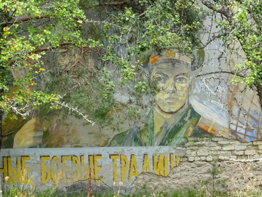 Фото: Kamilalala / Shutterstock.com