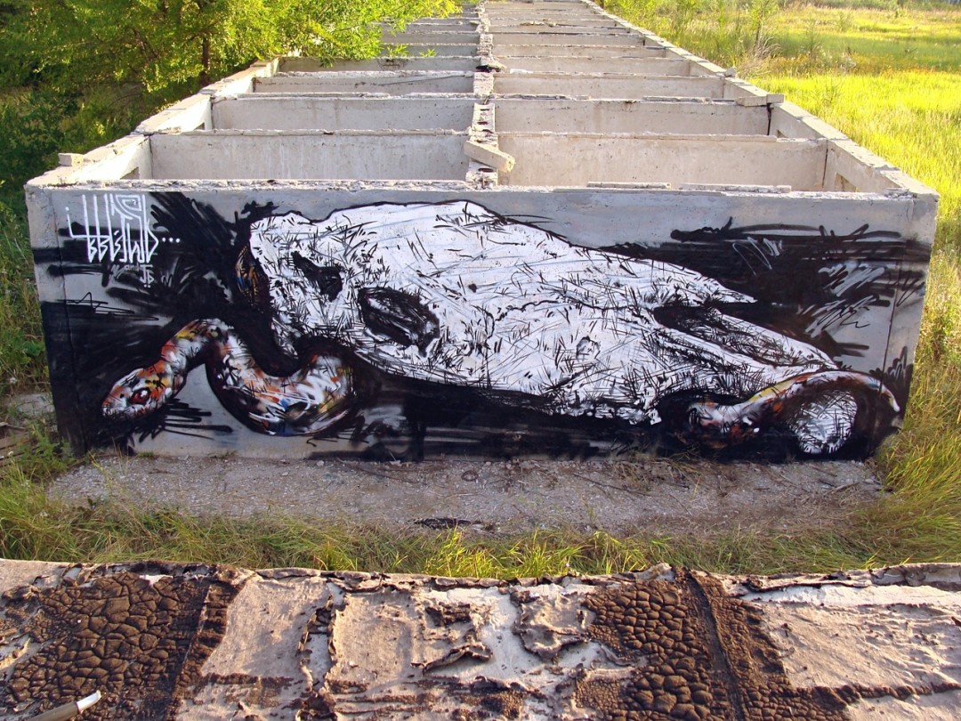 Работа участника выставки Вани БВ