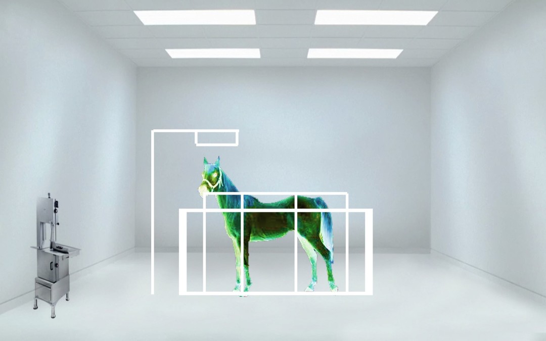 Проект Paradise SPA Ильи Федотова-Федорова