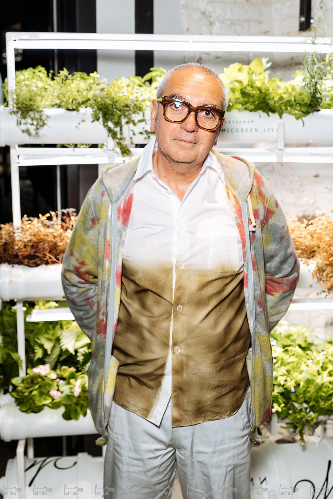 Андреа Петрини