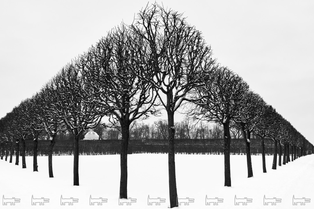 Михаил Розанов. Из серии Натурфилософия. Царское Село. 2018