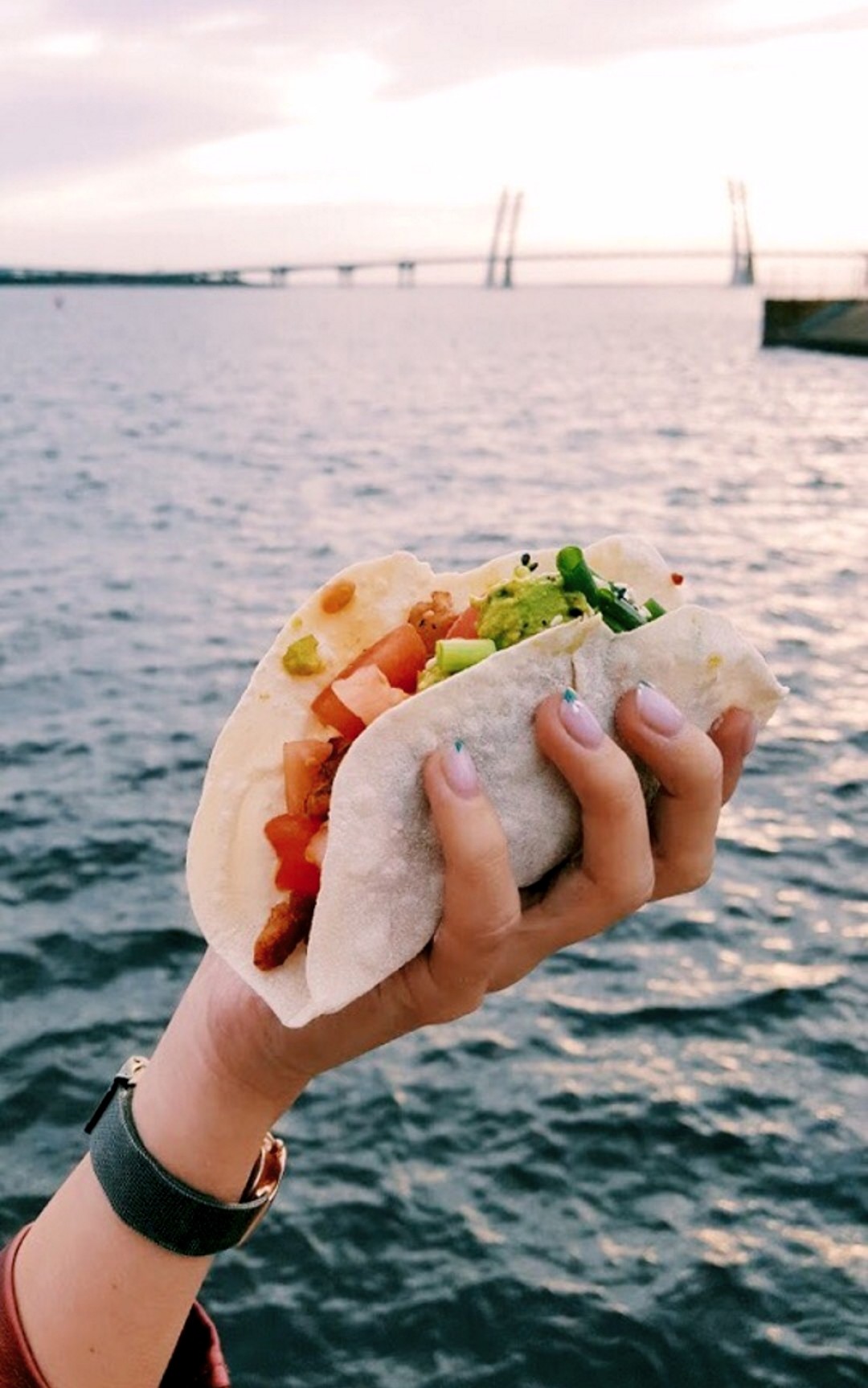 Тако из Escarabajo