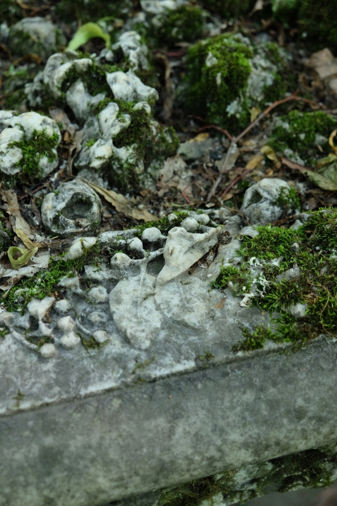 Фото: @mettlachtile