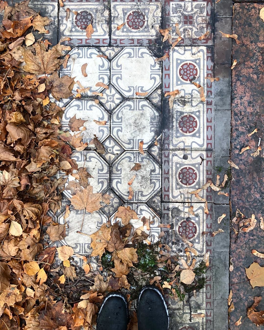 Фото: @mettlachtile