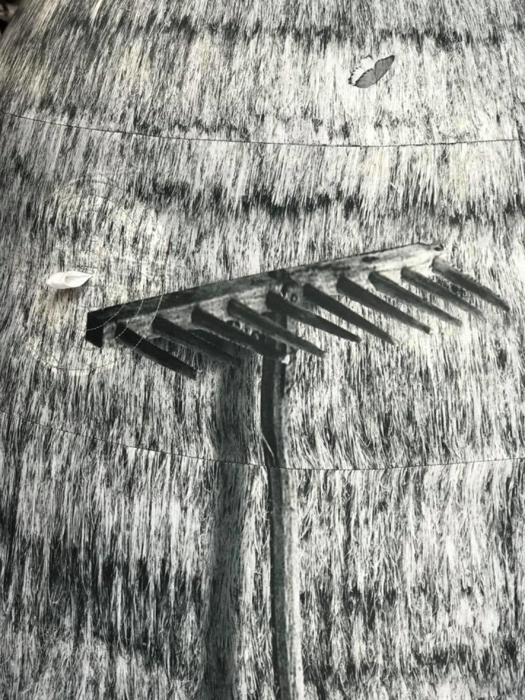 Ирина Корина «Зеленый кабинет»