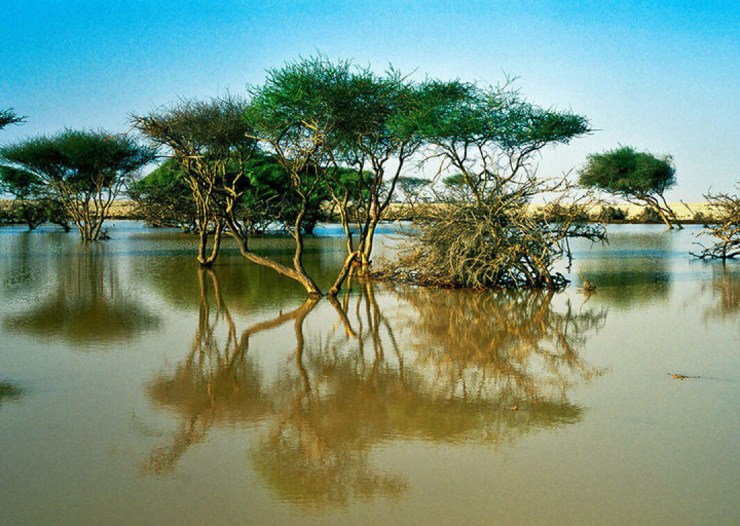 Аль-Такира на байдарках Каир мангровые леса