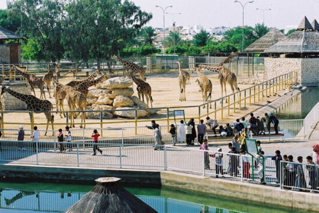 Зоопарк в Дохе