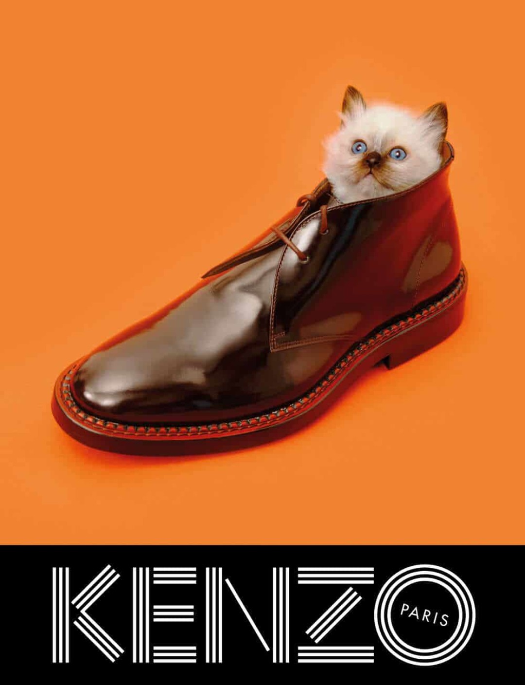 Рекламная кампания Kenzo, осень-зима 2013