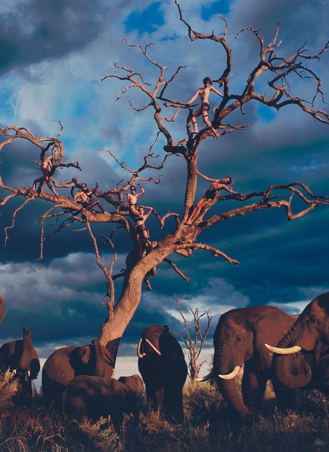 Съемка Питера Берда, 2009