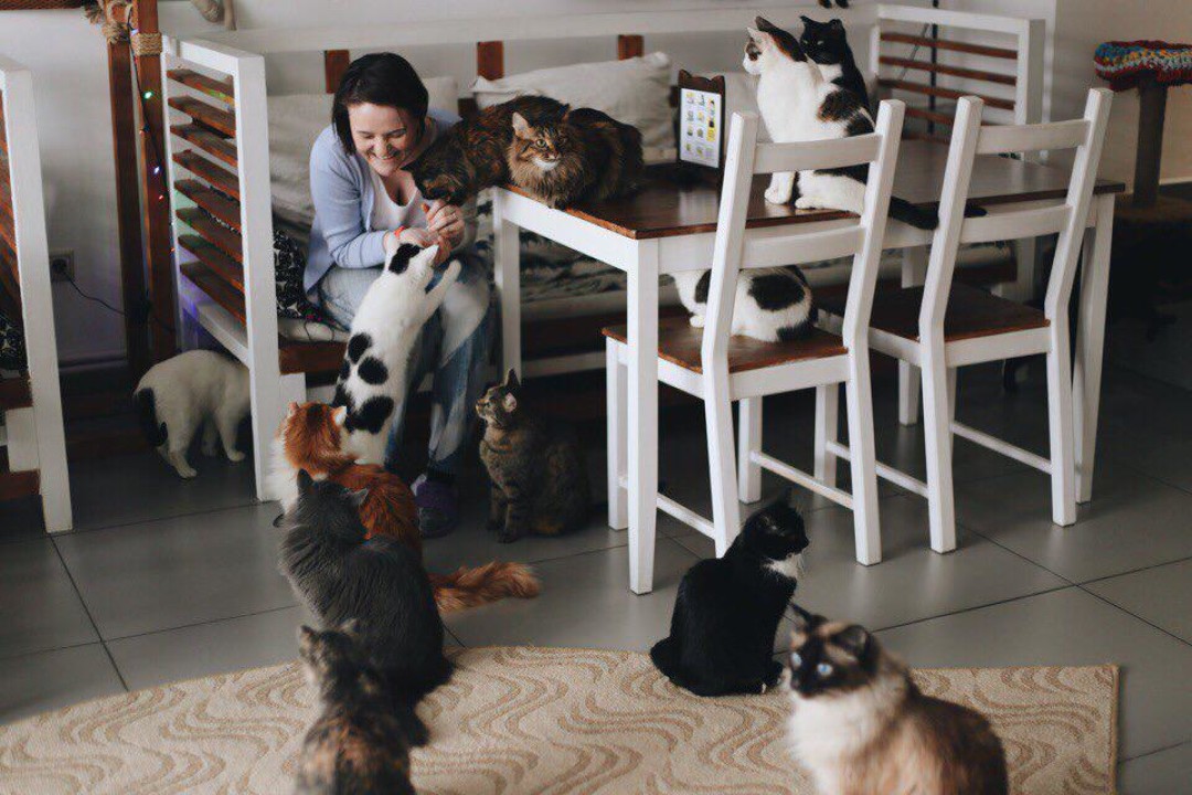 Новости - Антикафе: 6 шагов к популярности