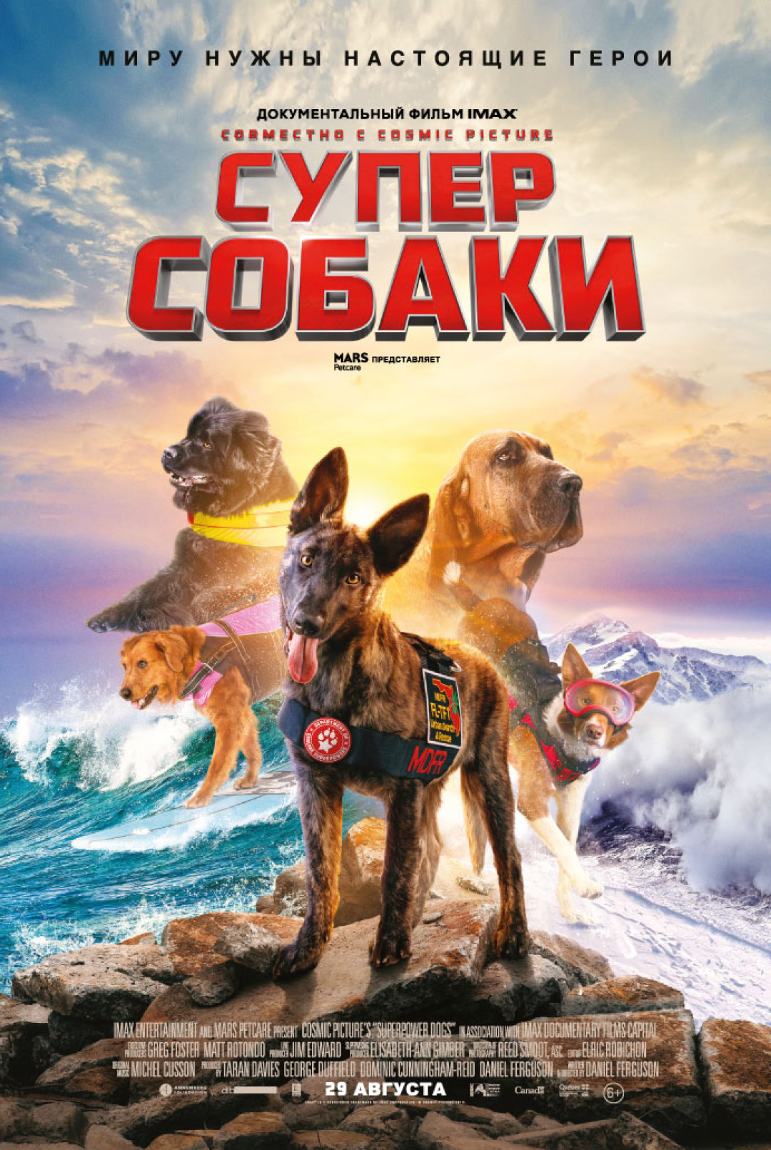 10 причин идти и смотреть фильм «Суперсобаки» в IMAX | Sobaka.ru