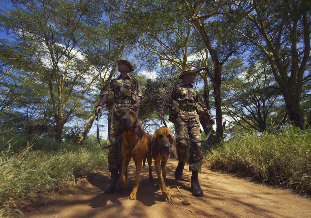 Типпер и Тони