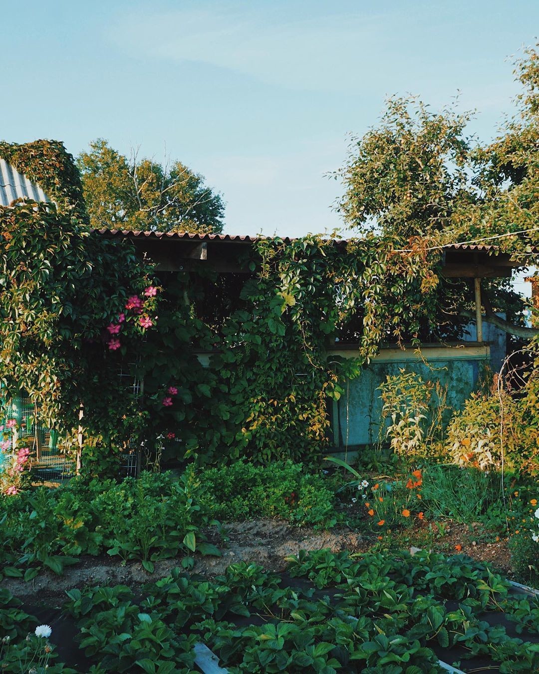 Фото: @seloonomoe