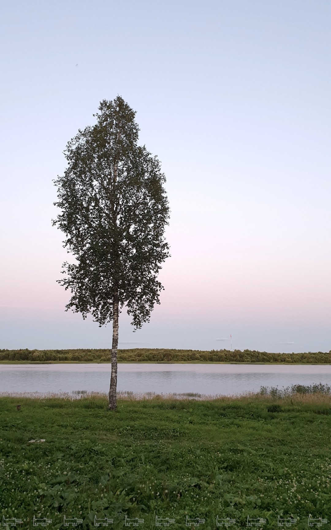 Река Онега на закате