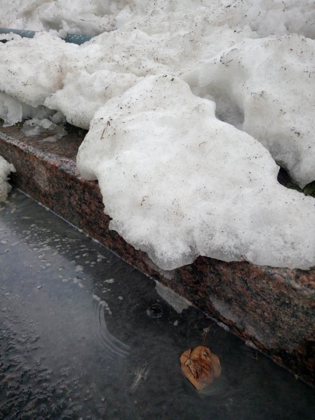 Появятся сугробы. Фото водграде где снег. Лист откуда в снегу грязь карточка.