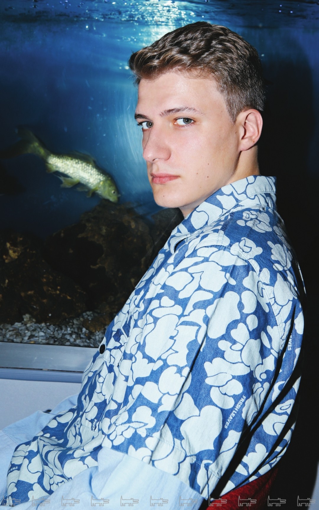 Рубашки и джинсы Levi’s
