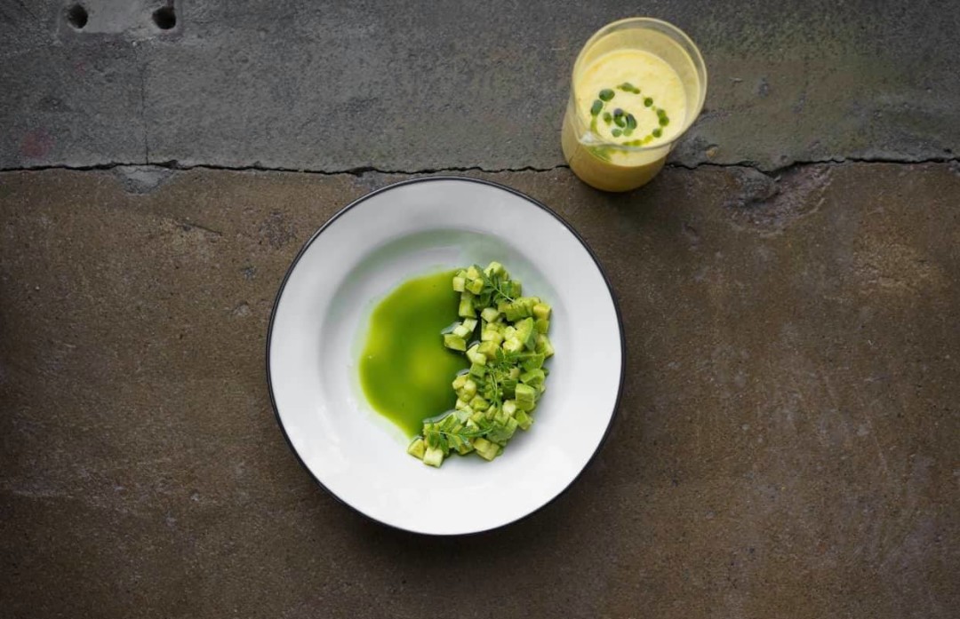 Тартар из кабачка и авокадо с гаспачо из томатов