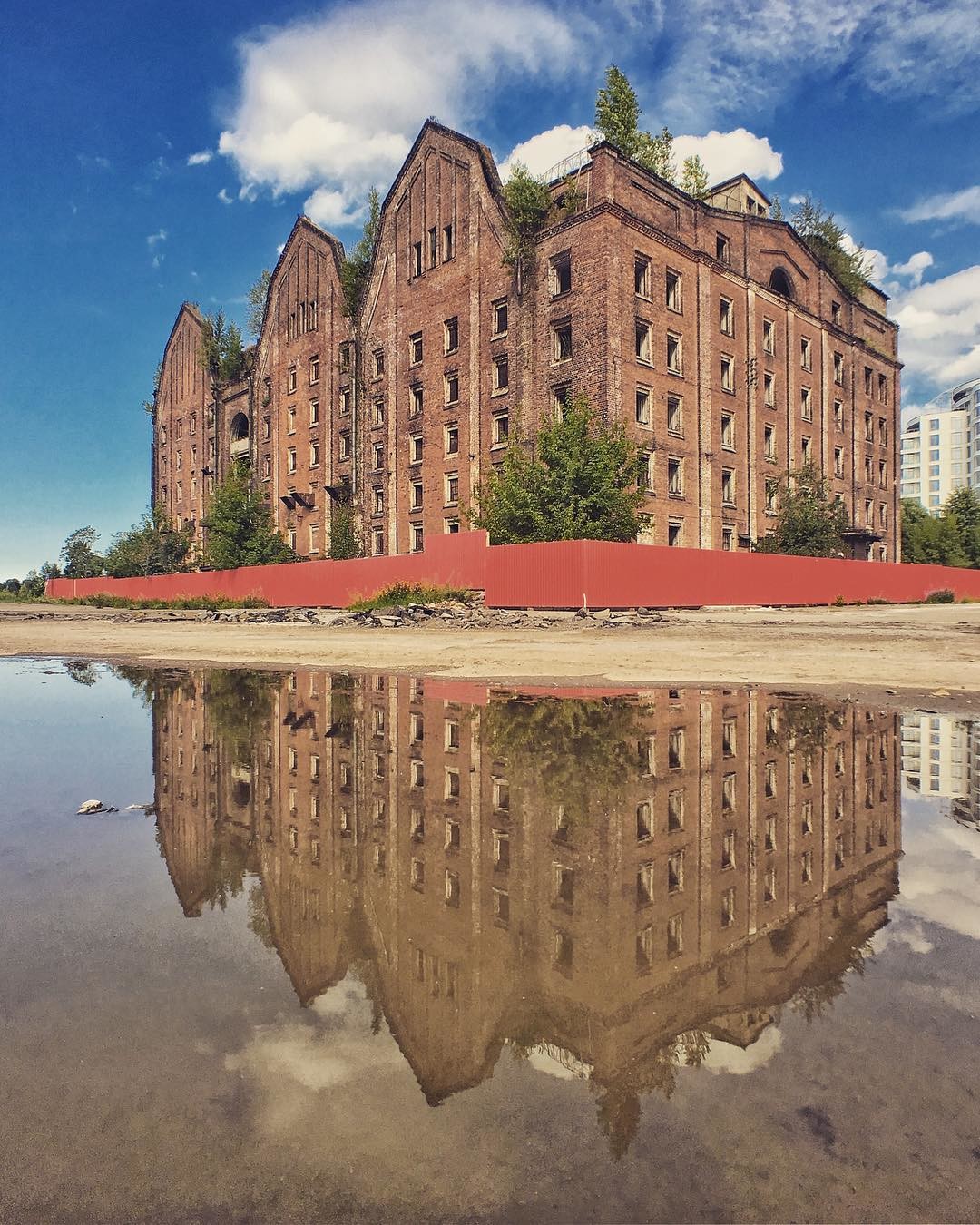 Фото: @nekolesnik