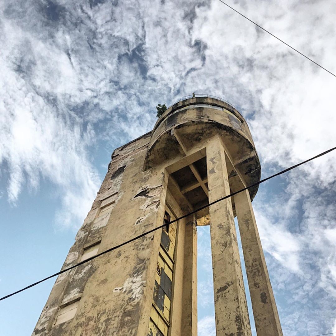 Фото: @das.edelweiss