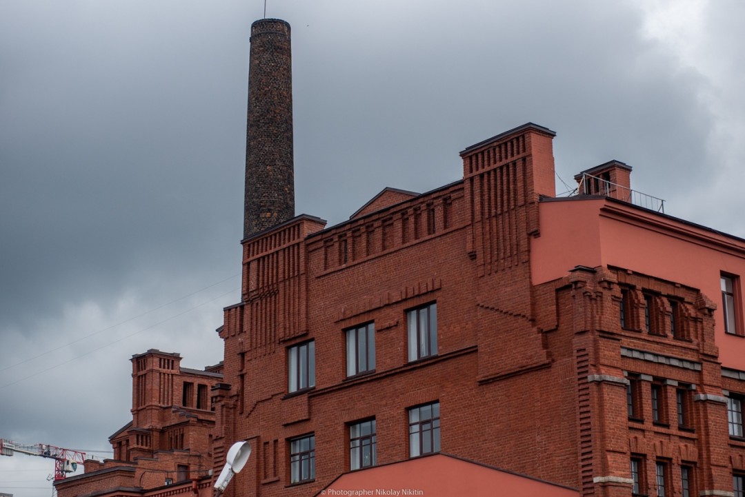 Фото: Николай Никитин