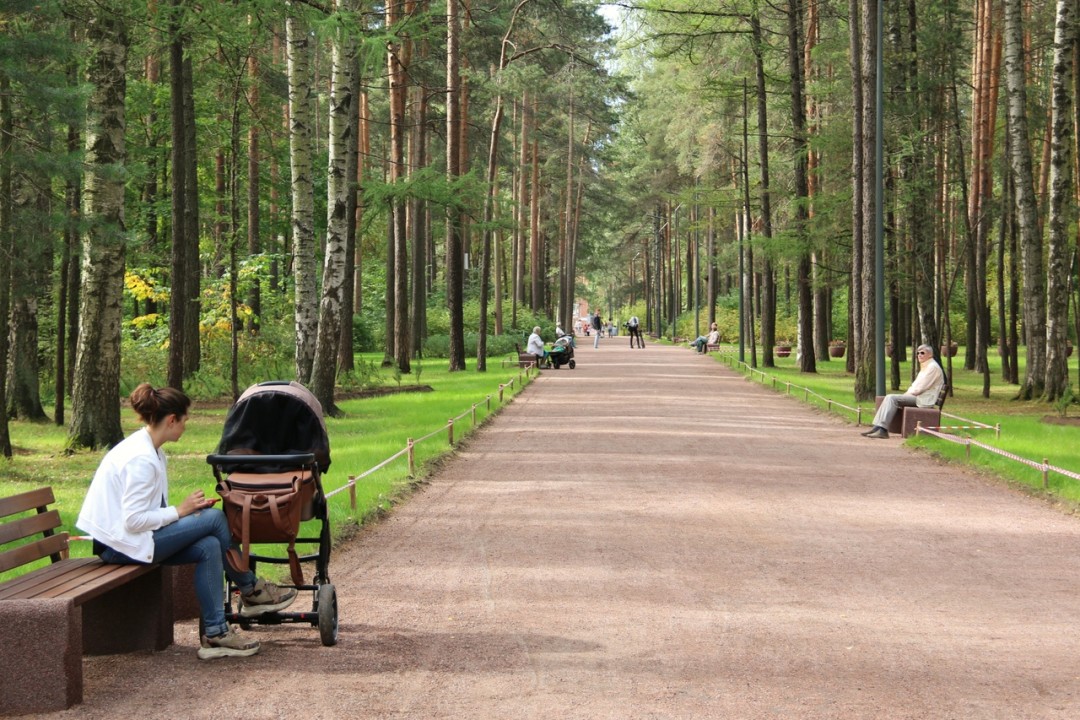 Парк сосновка в санкт петербурге фото