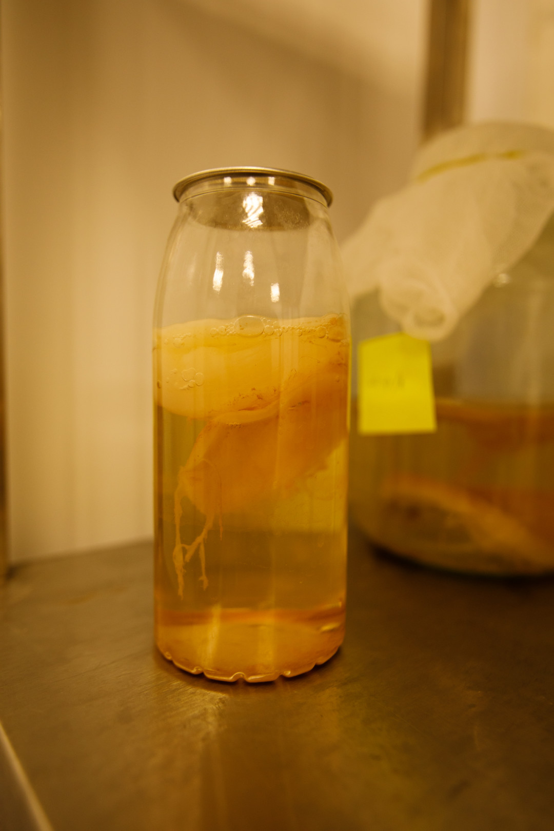 Требуется около трех месяцев для того, чтобы из полученного в лаборатории гриба вырастить экземпляр промышленного размера