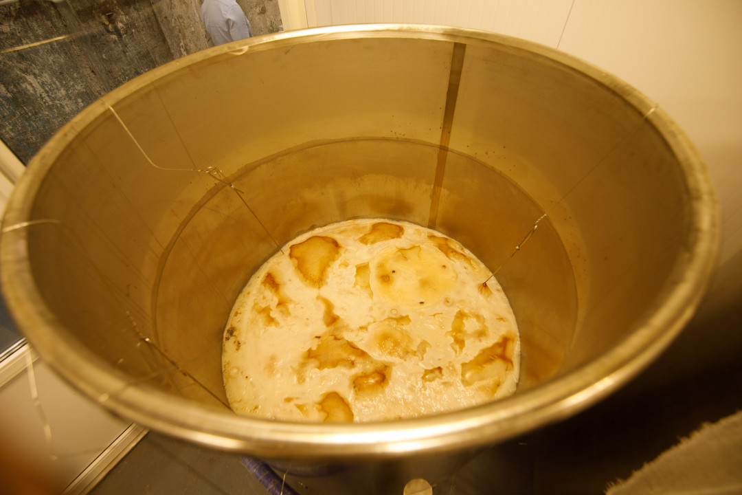 Вес чайного гриба, живущего в бродильном чане, достигает 100 килограммов.