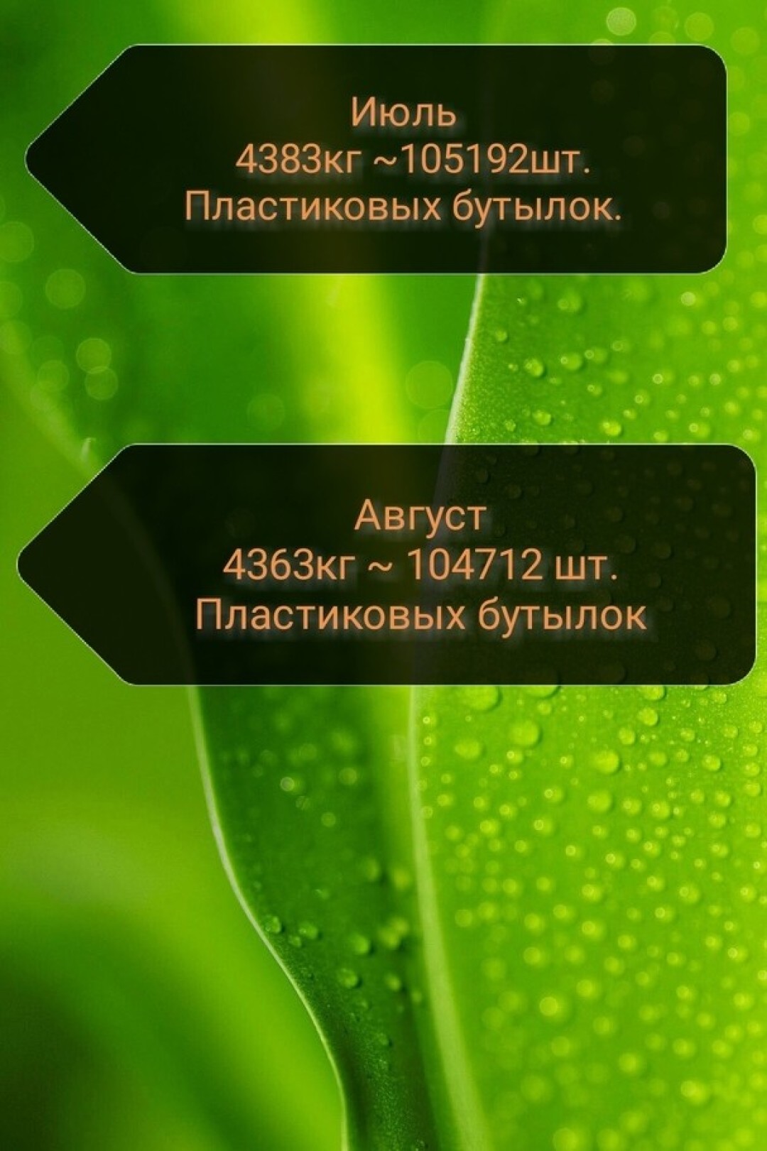 Как пластиковые бутылки перерабатываются в одежду? Рассказывает петербуржец  | Sobaka.ru