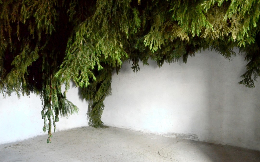 Инсталляция в одном из помещений бывшего завода им. Степана Разина во время фестиваля Gamma