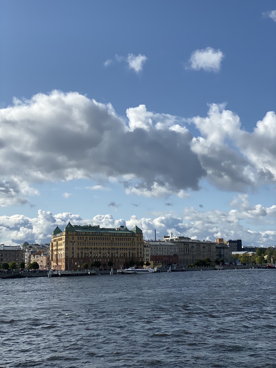 Кадр на iPhone 11 Pro