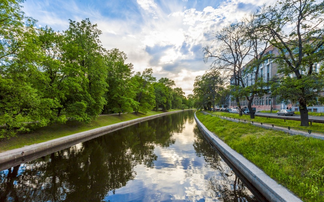 Черная речка санкт петербург фото