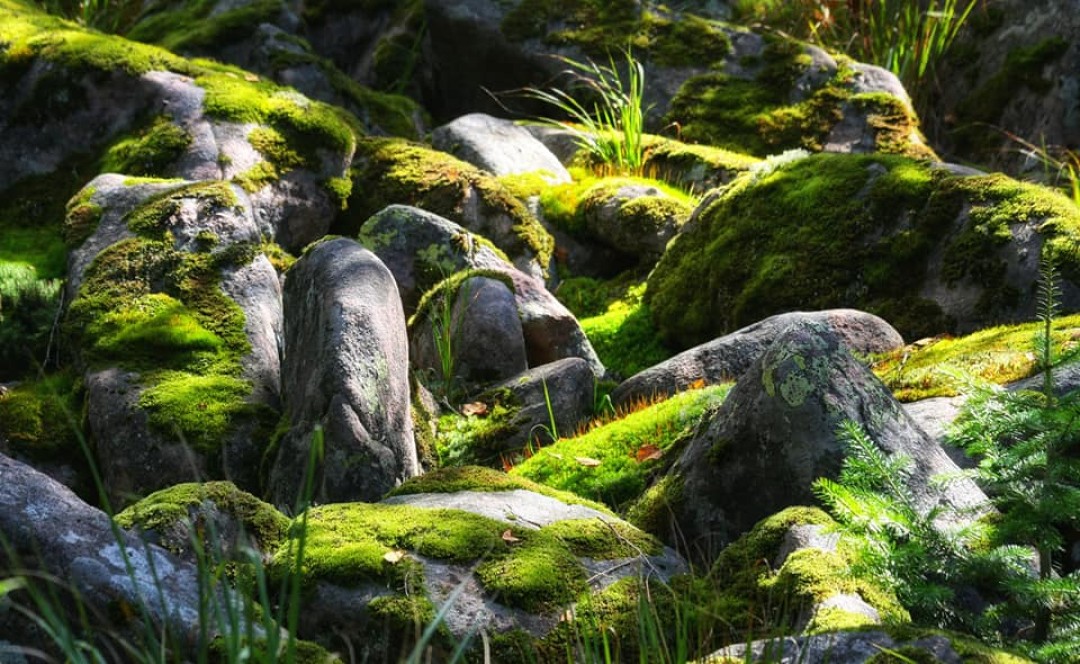 Фото со страницы Bashkiria and Ural