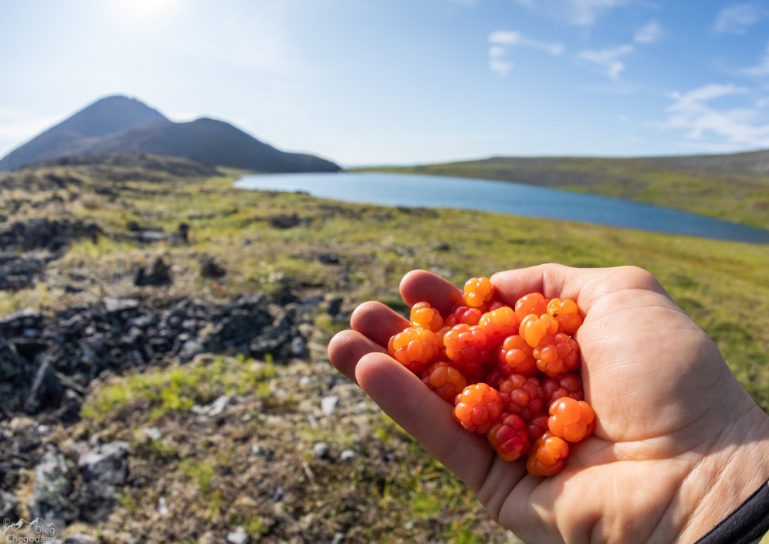 Фото: vk.com/oleg_chegodaev