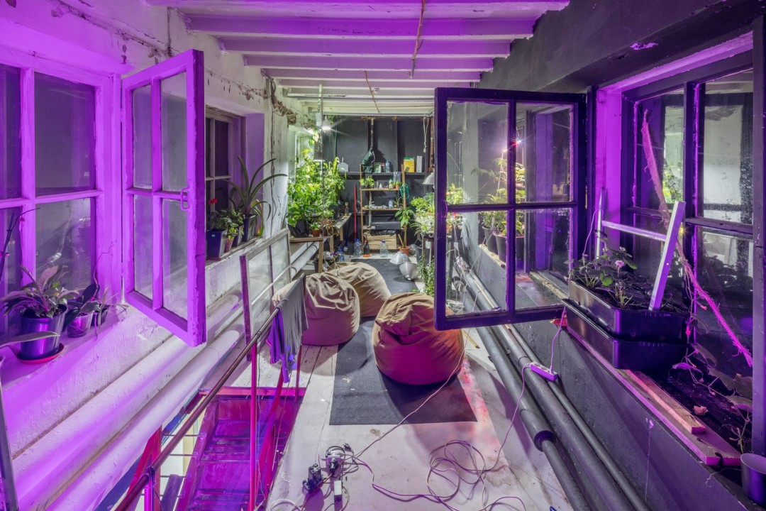 Мастерская художника Ильдара Якубова